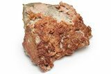 Ruby Red Vanadinite Crystals on Bladed Barite - Morocco #233085-2